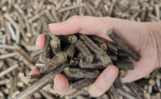 木屑燃料顆粒熱值多少大卡，完全取決于燃料的原料